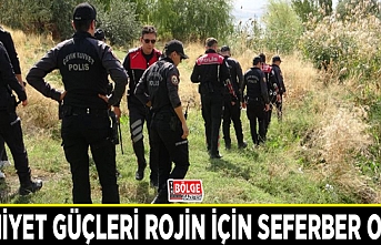 Emniyet güçleri Rojin için seferber oldu