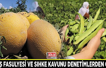 Gevaş Fasulyesi ve Sıhke Kavunu denetimlerden geçti