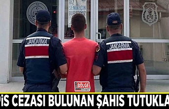 Hapis cezası bulunan 20 yaşındaki şahıs tutuklandı