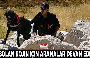 Kaybolan Rojin için aramalar devam ediyor