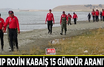 Kayıp Rojin Kabaiş 15 gündür aranıyor