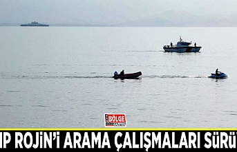 Kayıp Rojin’i arama çalışmaları sürüyor