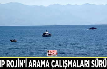 Rojin’i arama çalışmaları sürüyor