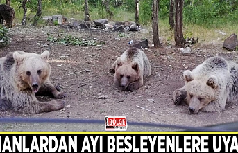 Uzmanlardan ayı besleyenlere uyarı…