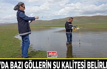 Van'da bazı göllerin su kalitesi belirlendi