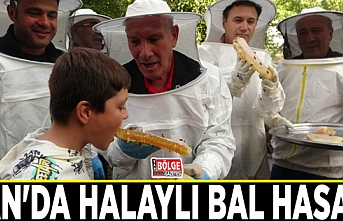 Van'da halaylı bal hasadı