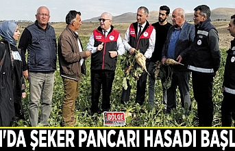 Van'da şeker pancarı hasadı başladı