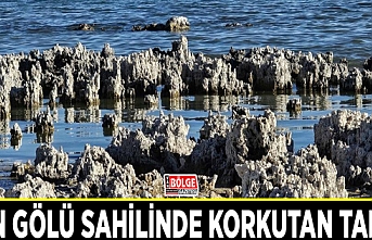 Van Gölü sahilinde korkutan tablo