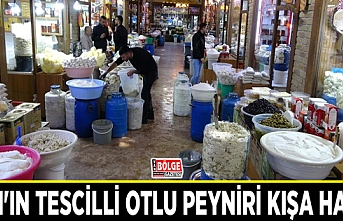 Van'ın tescilli otlu peyniri kışa hazır