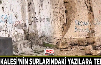 Van Kalesi'nin surlarındaki yazılara tepki…