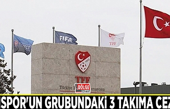 Vanspor'un grubundaki 3 takıma ceza…