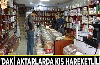 Van'daki aktarlarda kış hareketliliği...