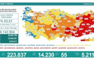 25 Temmuz verileri: Vaka sayısı 14 bin 230