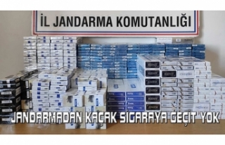 Van’da 1 ayda 15 bin 128 paket kaçak sigara ele...