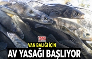 Van Balığı için av yasağı başlıyor