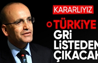 Mehmet Şimşek: Türkiye'yi gri listeden çıkartmaya...