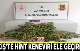 Erciş’te Hint keneviri ele geçirildi