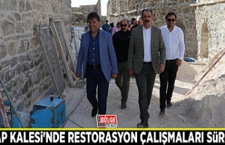 Hoşap Kalesi'nde restorasyon çalışmaları...