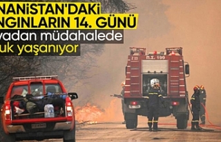 Yunanistan'daki orman yangınında 14. gün: Havadan...