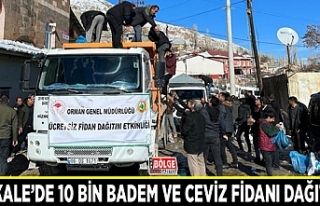 Başkale’de 10 bin badem ve ceviz fidanı dağıtıldı