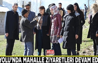 İpekyolu’nda mahalle ziyaretleri devam ediyor