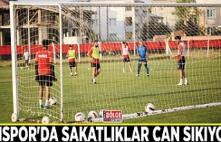 Vanspor'da sakatlıklar can sıkıyor…