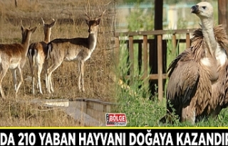 Van’da 210 yaban hayvanı doğaya kazandırıldı