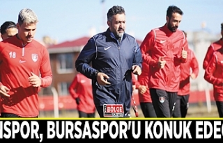 Vanspor, Bursaspor'u konuk edecek