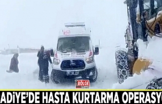 Muradiye’de hasta kurtarma operasyonu