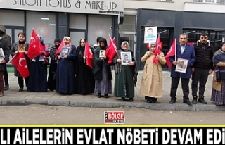 Vanlı ailelerin evlat nöbeti devam ediyor