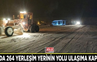 Van'da 264 yerleşim yerinin yolu ulaşıma kapandı