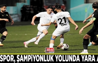 Vanspor, şampiyonluk yolunda yara aldı