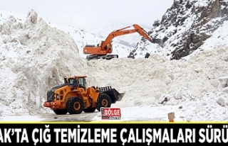 Çatak’ta çığ temizleme çalışmaları sürüyor