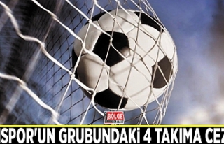 Vanspor'un grubundaki 4 takıma ceza…