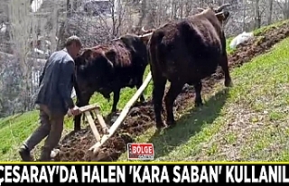 Bahçesaray'da halen 'Kara saban' kullanılıyor