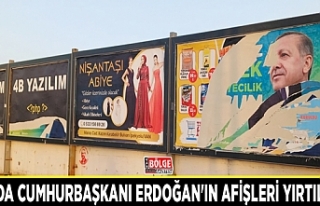 Van'da Cumhurbaşkanı Erdoğan'ın afişleri...