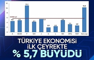 Türkiye ekonomisi 2024'ün ilk çeyreğinde yüzde...