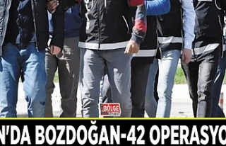 Van'da Bozdoğan-42 operasyonu