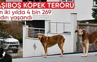 2022’den bu yana 4 bin 269 köpek saldırısı meydana...