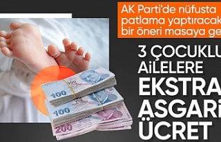 AK Parti'den nüfusu artıracak teklif