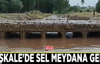 Başkale'de sel meydana geldi