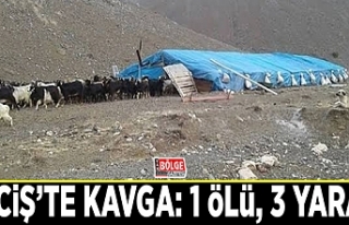 Erciş’te kavga: 1 ölü, 3 yaralı