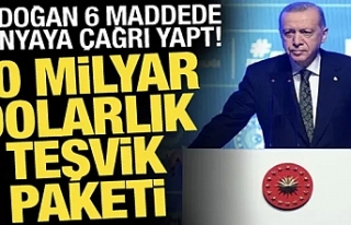 Erdoğan 6 maddede dünyaya çağrı yaptı!