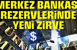 Merkez Bankası rezervleri artmaya devam ediyor