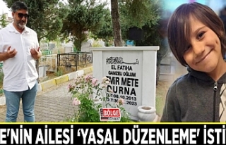 Mete'nin ailesi ‘yasal düzenleme' istiyor