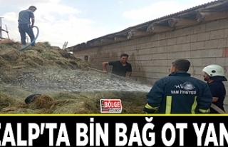 Özalp'ta bin bağ ot yandı