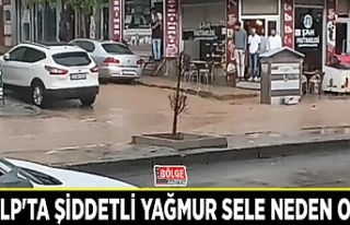 Özalp'ta şiddetli yağmur sele neden oldu