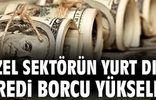 Özel sektörün yurt dışı kredi borcu yükseldi