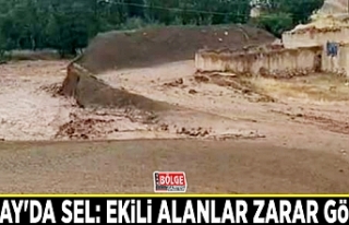 Saray'da sel: Ekili alanlar zarar gördü