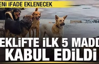 Sokak hayvanları düzenlemesi Meclis'te!